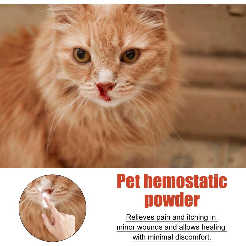 سدادة دم القطط المنزلية تساعد على مستلزمات العناية بمسحوق مرقئ الصدمات