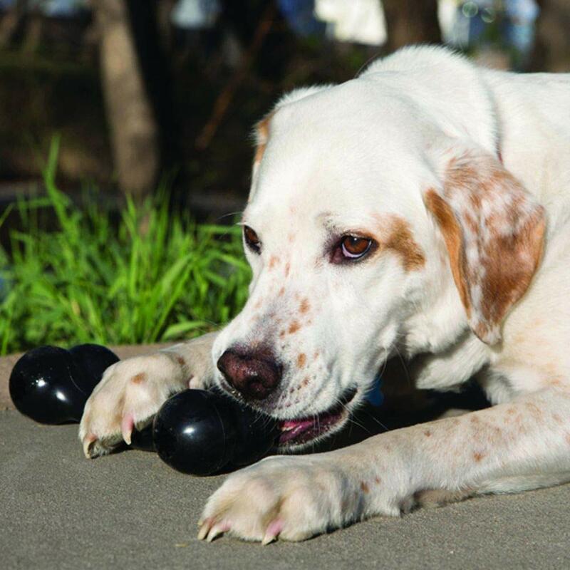 كونغ-إكستريم جودي العظام-دائم المطاط الكلب العظام لقوة يمضغ عناصر الحيوانات الأليفة كرة القدم قفص الاتهام الأسود الحيوانات الأليفة الكلاب الملحقات لعبة