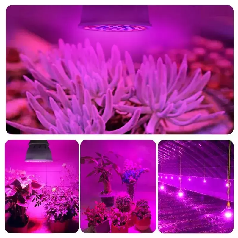 مصباح LED كامل الطيف ، مصابيح نباتية ، لمبة زراعة للزراعة المائية في الدفيئة ، Fitolampy ، E27 ، 60LEDs ، V