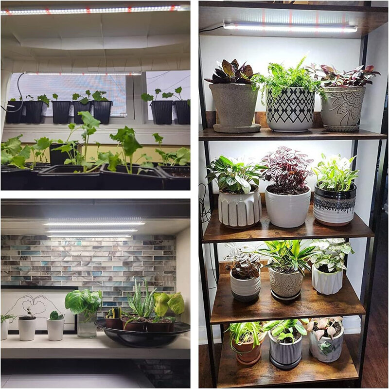 أضواء LED كاملة الطيف لنمو النباتات ، مؤقت تلقائي ، وظيفة عكس الضوء ، نباتات داخلية ، شتلات الدفيئة ، رأس واحد ، رأسين ، 3 رؤوس ، 4 رؤوس ، 30