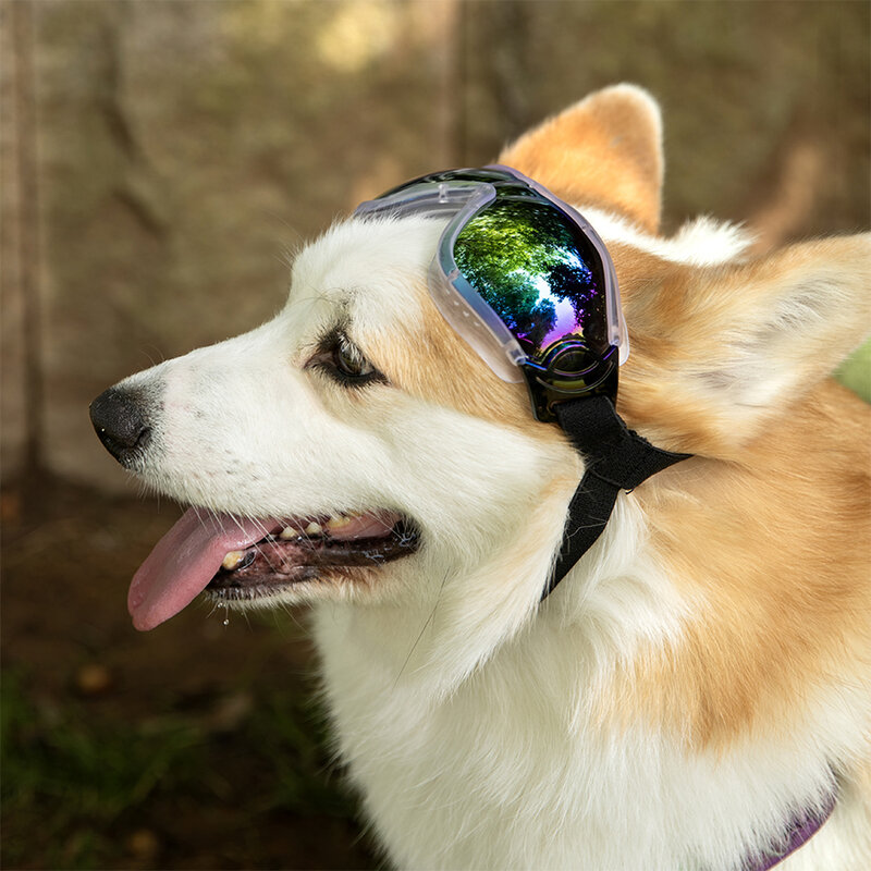 نظارات شمسية للكلاب مقاومة للرياح للأشعة فوق البنفسجية ، نظارات ، مناسبة للكلاب المتوسطة إلى الكبيرة ، إكسسوارات حيوانات أليفة قابلة للتعديل ، 55 جم