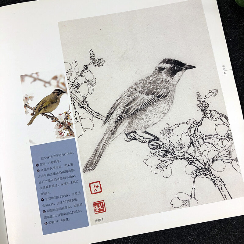 تقنية الرسم الدقيق خط تعليمي رسم زهرة الطيور الحشرات مخطوطة مبتدئ اللوحة الصينية كتاب البدء