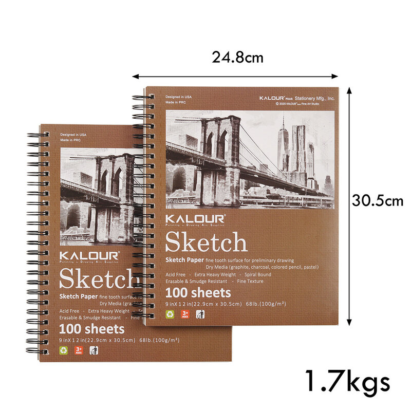 9 × 12 بوصة رسم كتاب ، سطح دوامة ملزمة لوحة رسم ، 1 حزمة 100-ورقة (68lb/100gsm) ، حمض الحرة الفن كراسة الرسم الفني