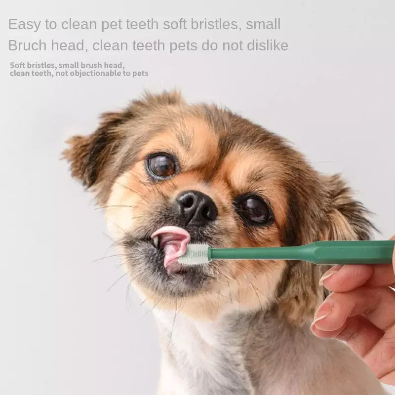 فرشاة أسنان للحيوانات الأليفة ذات شعيرات ناعمة ورأس مستدير وسهلة الاستخدام والتنظيف والعناية بالأسنان والكلاب والقطط