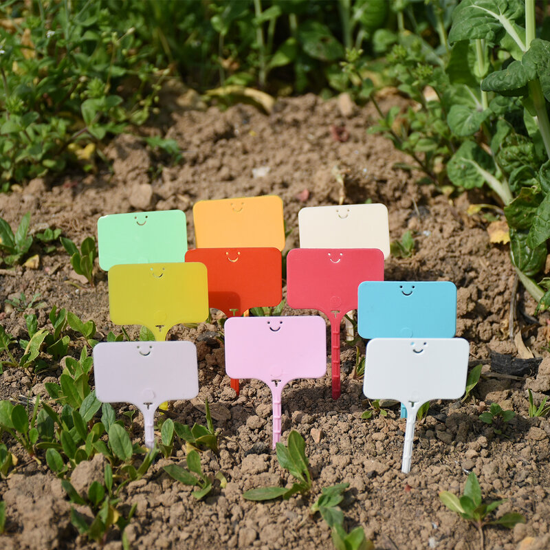 30-100 قطعة حديقة قابلة لإعادة الاستخدام تسميات النبات مقاوم للماء T-نوع علامات علامة علامات البلاستيك سجل لوحة زهرة الخضروات بوعاء حصص