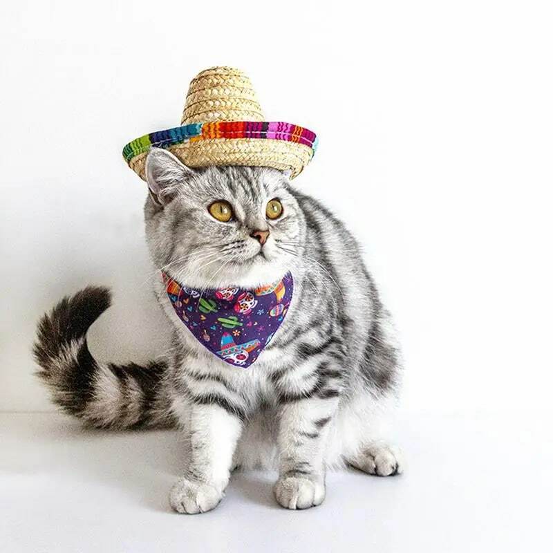 قبعة القش المكسيكي للحيوانات الأليفة ، قبعة صغيرة من القش للقطط الصغيرة والكلاب ، قبعات الحفلات المكسيكي