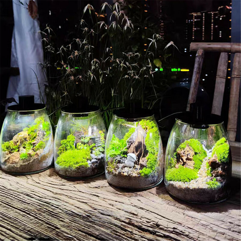 مصباح دائري للنباتات المائية ، ضوء LED ، USB ، مصباح الزجاجات المائية ، ضوء العشب المائي ، D10cm D12cm D15cm D20cm