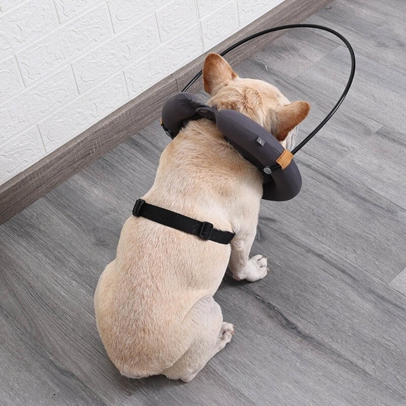 جهاز توجيه حزام الكلب الأعمى للكلاب الصغيرة والمتوسطة والكبيرة