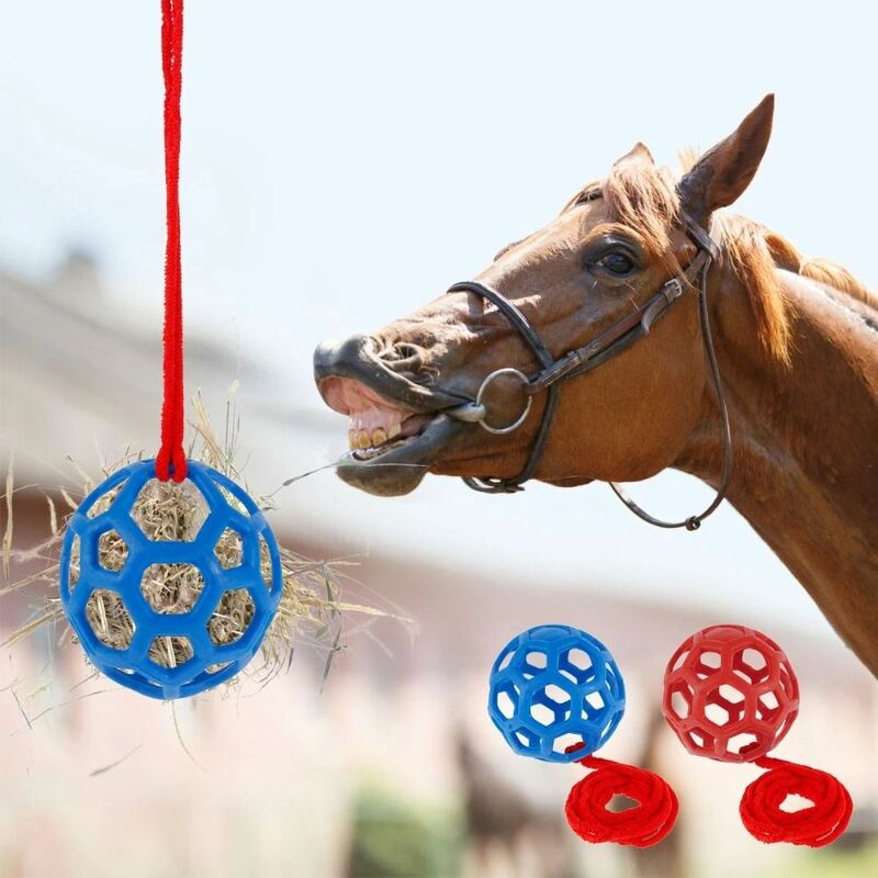 موزع تغذية حصان TPR كرة علاج ، لعبة معلقة دائرية ، متين ، أحمر ، أزرق ، أخضر ، من من TPR
