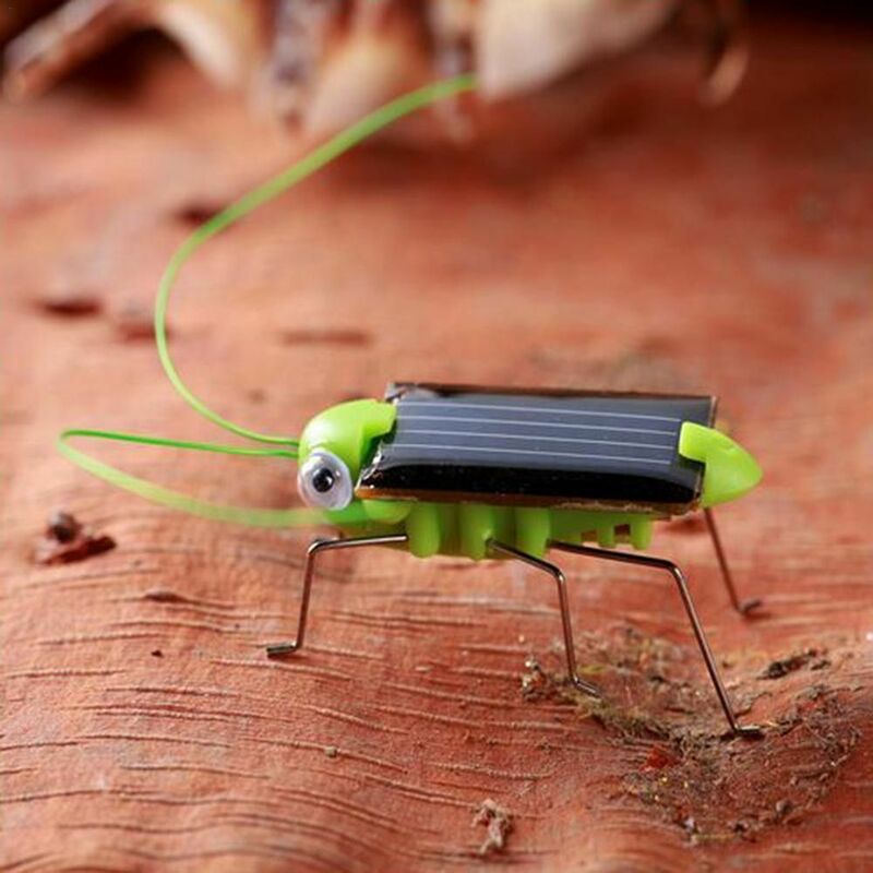 روبوت الحشرات الطاقة التعليمية المصغرة ، علة التعلم الشمسية ، هدية للأطفال