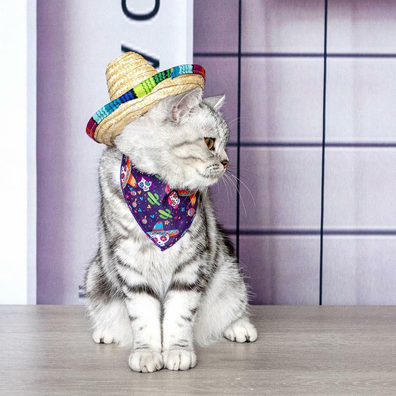 قبعة كلب سومبريرو قبعة كلب صغيرة مصنوعة يدويا من الأقمشة الطبيعية والقش قبعة حفلات المكسيكي للأطفال حفلة عيد ميلاد كرنفال جزء
