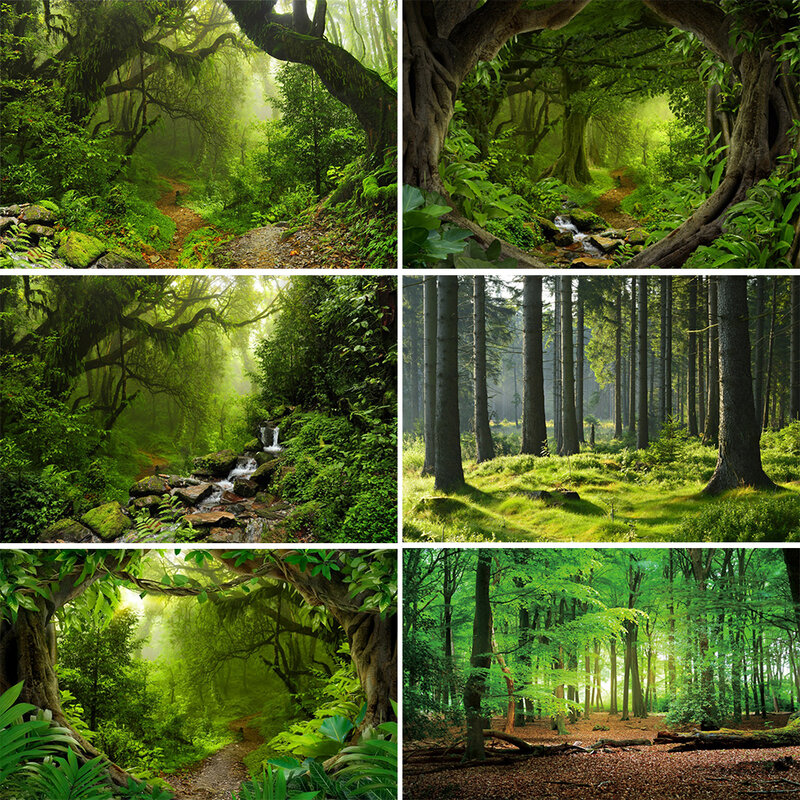 خلفية مناظر طبيعية للغابات للبالغين والأطفال ، المناظر الطبيعية للغابات الاستوائية المطيرة ، التصوير الفوتوغرافي ، دعامة الاستوديو