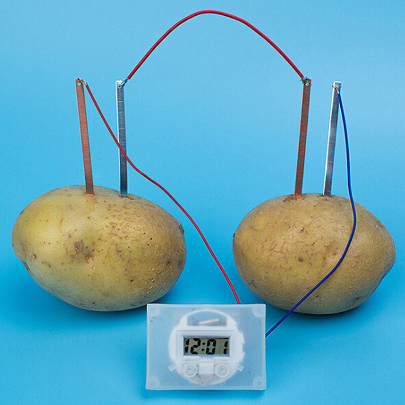 1 قطعة الأطفال الطاقة الحيوية العلوم عدة متعة البطاطس توريد الكهرباء التجارب اللعب ألعاب الواقع