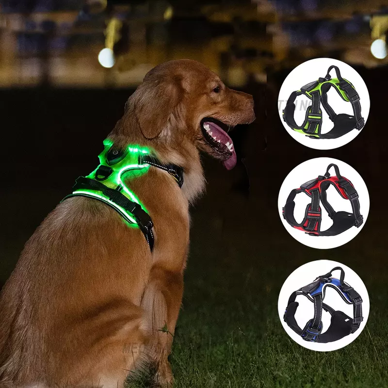 تسخير كلب LED قابل للتعديل ، تسخير ضوء دائم ، تسخير عاكس ، معطف للكلاب الصغيرة والمتوسطة والكبيرة