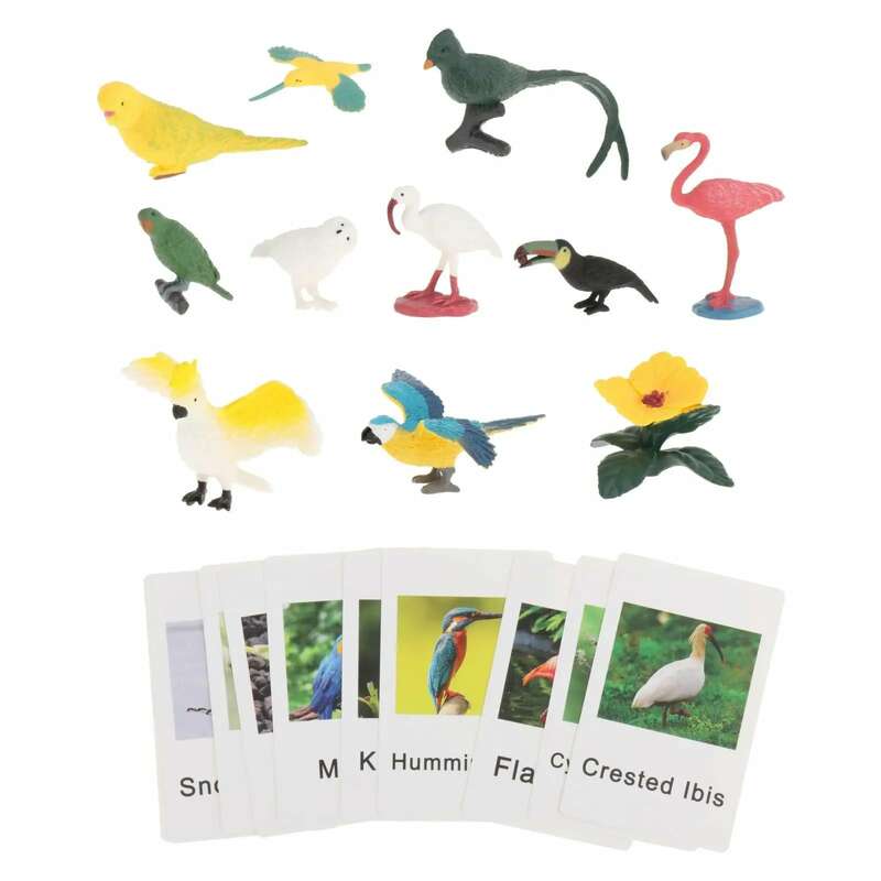 شخصيات حيوانات مونتيسوري مع بطاقات فلاش ، لعبة مطابقة تعليمية للمدرسة المنزلية ، معونة تعليمية قبل المدرسة المعرفية