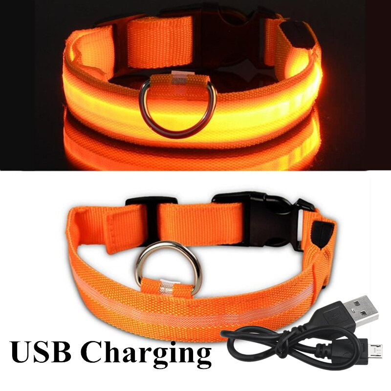 USB قابلة للشحن كلب LED متوهجة طوق مضيئة قلادة وامضة في الهواء الطلق المشي ليلة السلامة