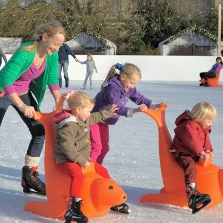 دولفين الجليد تزلج المعونة خوذة للأطفال ، مخصص ، المواد الملونة