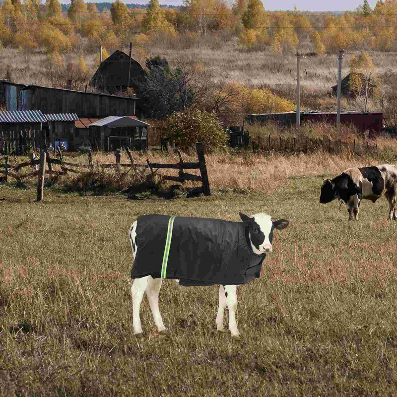 معطف عجل البقر للمزرعة ، والملابس الدافئة ، والوقاية من البرد ، واللوازم