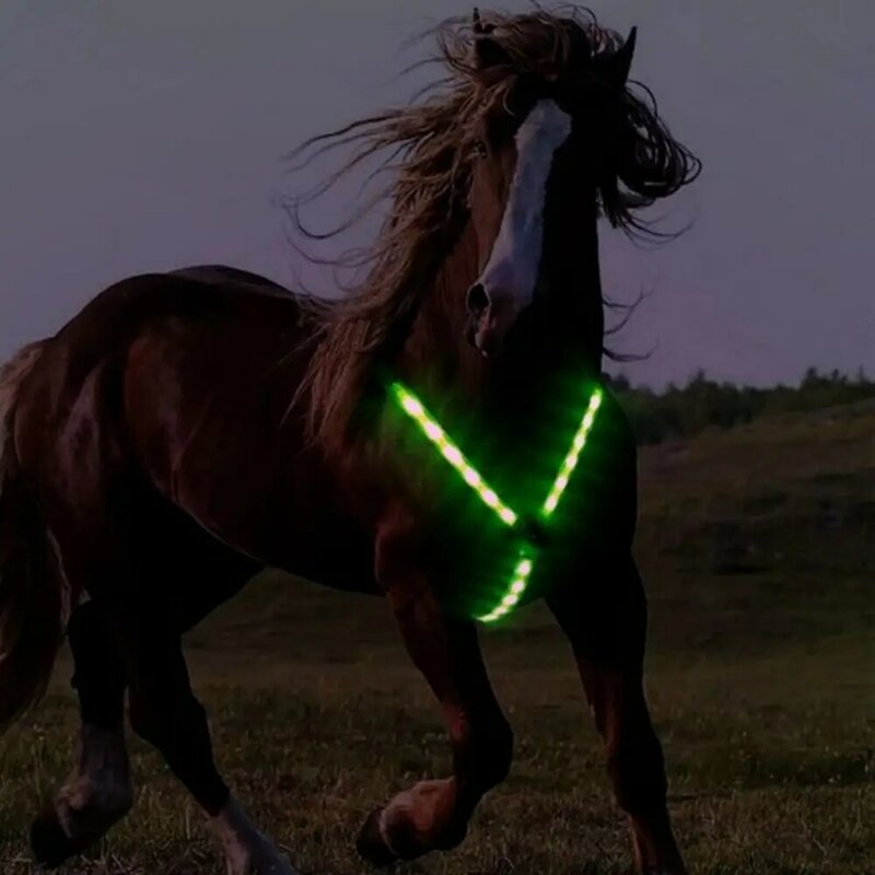 حزام حصان LED قابل لإعادة الشحن ، ديكور ليلي مرئي ، صفيحة طوق حصان وامض ، Crupper ، رياضة خارجية