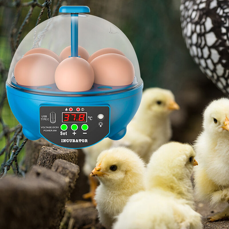 حاضنة صغيرة سعة 6 بيضات هاتشر ديجيتال للتحكم في درجة حرارة الدواجن شمعدان بيض للطيور أوزة دجاج بطة سمان مستلزمات