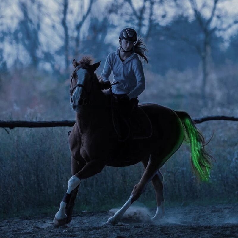 100 سنتيمتر LED ركوب الخيل ذيول الديكور أنابيب مضيئة الخيول ركوب الزينة ليلة مرئية مع ضوء وماض شريط تسخير