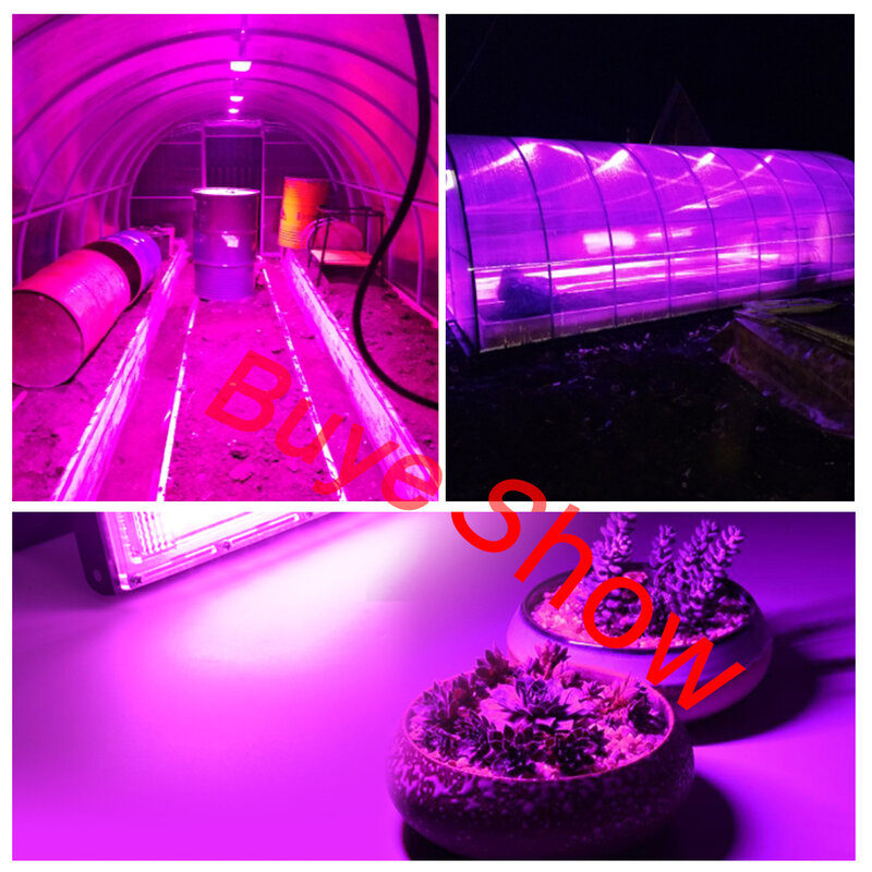 مصباح نمو نباتي LED كامل الطيف ، مصباح إضاءة خارجي ، مثالي لزراعة النباتات والزهور والشتلات ، 50 واط ، تيار متردد 220 فولت