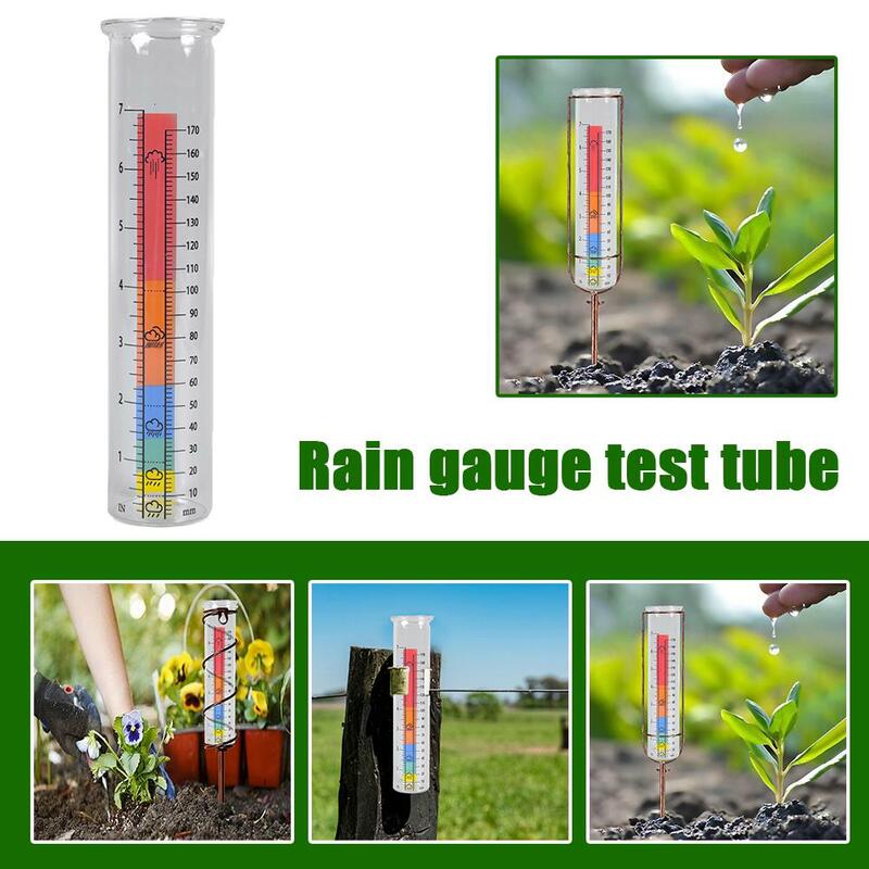 مقياس المطر الزجاجي ثنائي الألوان ، أنبوب اختبار جميل ، نباتات الزهور للفناء ، سطح الحديقة ، منظر طبيعي للحديقة ، I3b0 ، متعدد الوظائف