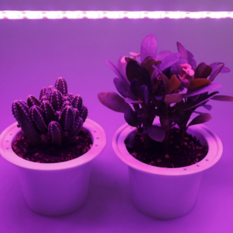 LED تنمو ضوء الطيف الكامل 5 فولت USB تنمو ضوء الشريط 2835 LED مصابيح فيتو للنباتات الدفيئة المائية تنمو 40 متر