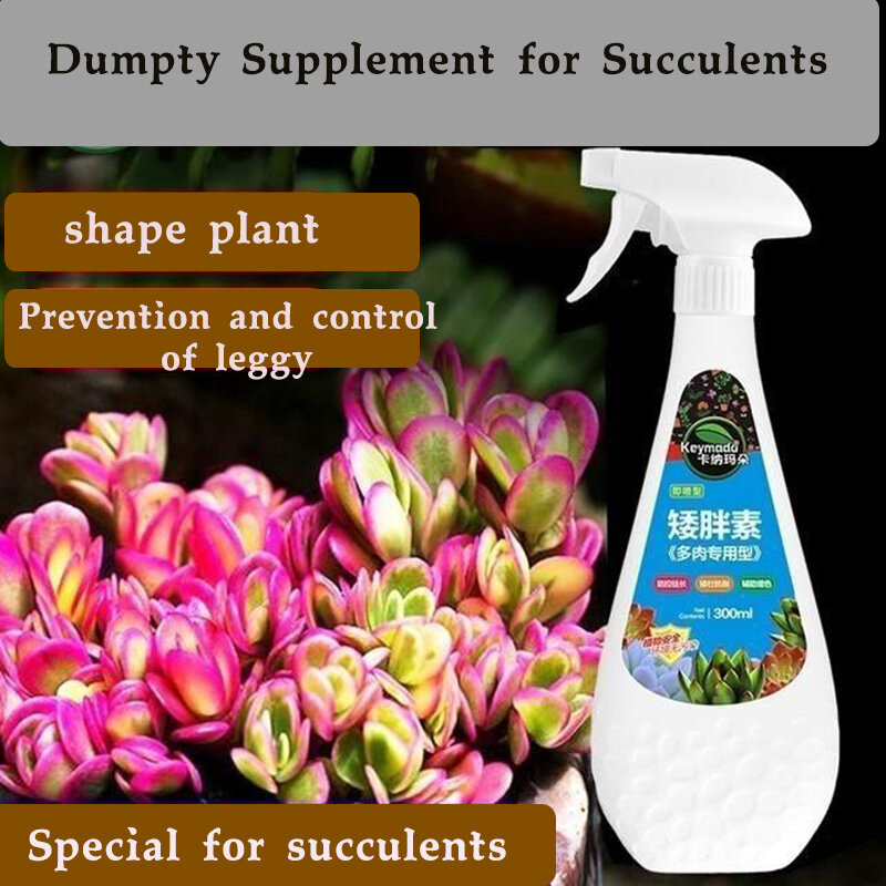 Eugenin نبات عصاري يعزز مهدها ، الدهون القزم ، ويمنع حبيبات العضوية أرجل ، عصاري ، و 300 مللي عصاري