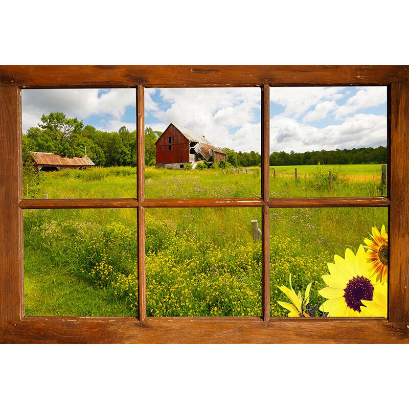 الربيع الصيف نافذة أشعة الشمس الطبيعية المناظر الطبيعية الخلابة زهرية لوحة خشبية خلفية خلفيات للتصوير الفوتوغرافي المطبوعة استوديو الصور Photophone
