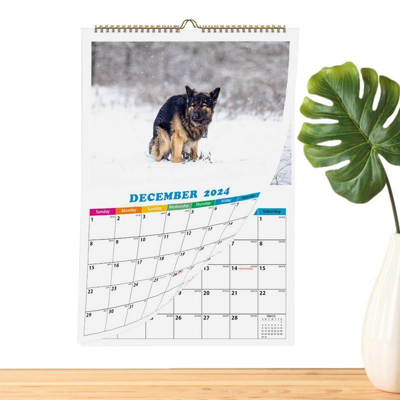 تقويم حائط للكلاب ، كلب متغوط ، أماكن جميلة ، مخطط 12 شهر ، هدية عيد الميلاد ، تقويم 2024 مضحك