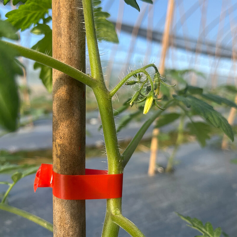 ماكينة ربط اللسوم نبات حديقة النباتات Tapetool tapner + 10 لفات الشريط مجموعة للخضراوات العنب الطماطم الخيار الفلفل زهرة