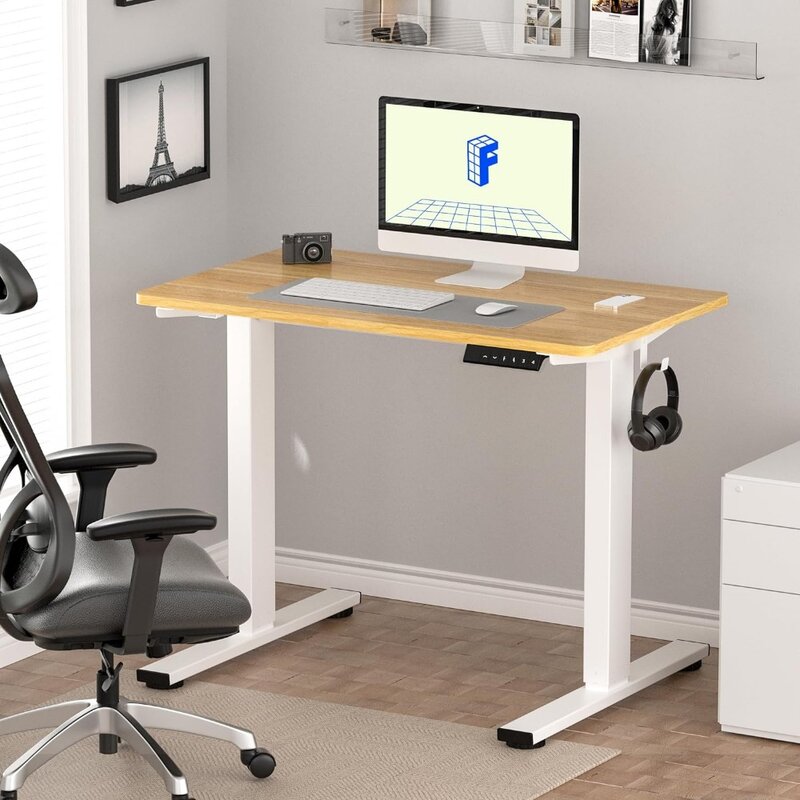 مكتب قائم قابل للتعديل Flexispot ، مكتب كهربائي قائم ، سطح مكتب من قطعة كاملة ، المنزل والمكتب ، 48 × 24 بوصة