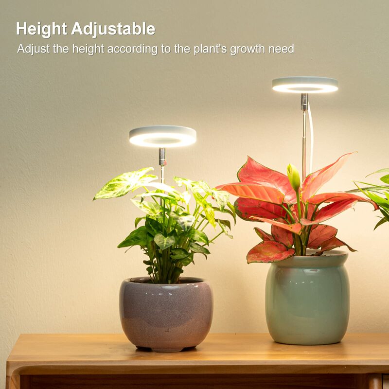 LED حلقة تنمو ضوء للنباتات في الأماكن المغلقة ، الطيف الكامل ، مصباح متزايد مع السيارات على وإيقاف الموقت ، ارتفاع قابل للتعديل ، أضواء النمو عكس الضوء للنباتات