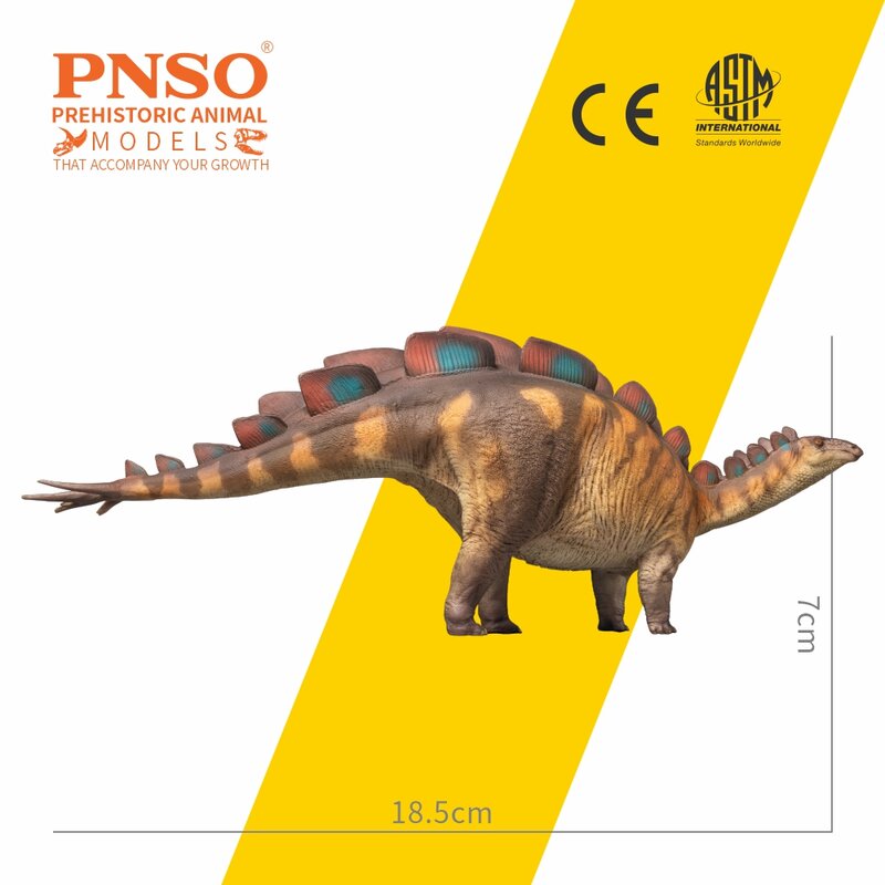 نماذج ديناصور ما قبل التاريخ PNSO: 82 Xilin wueryusaurus