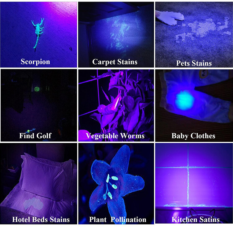 الأشعة فوق البنفسجية LED مصباح يدوي للحيوانات الأليفة ، الشعلة الأشعة فوق البنفسجية ، كاشف الضوء الأسود ، بقع البول ، علة ، علة ، 21 ، 50 ، 100 ، 39nm