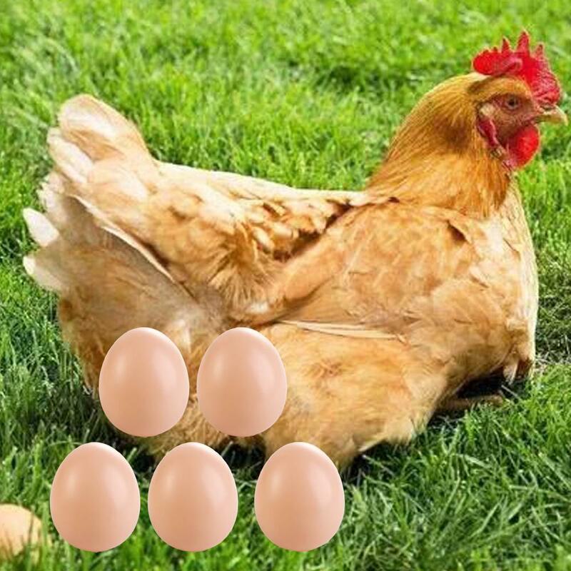بيض الدجاج الاصطناعي المزيف ، بيض عيد الفصح ، تربية دواجن الدجاج ، لوازم الحفلات ، لوحة ذاتية الصنع ، لعبة تعليمية