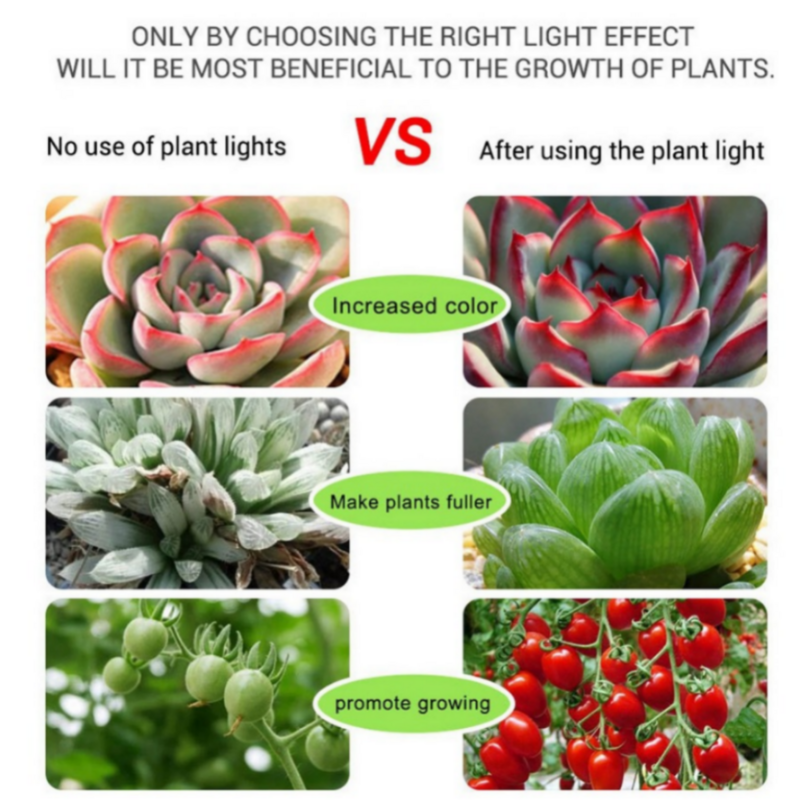 LED تنمو ضوء الطيف الكامل 5 فولت USB تنمو ضوء الشريط 2835 LED مصابيح فيتو للنباتات الدفيئة المائية تنمو 40 متر