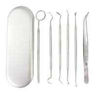 مجموعة العناية بالأسنان بمجس مزدوج ، أدوات تنظيف الأسنان ، المنجل الفموي ، 6 *
