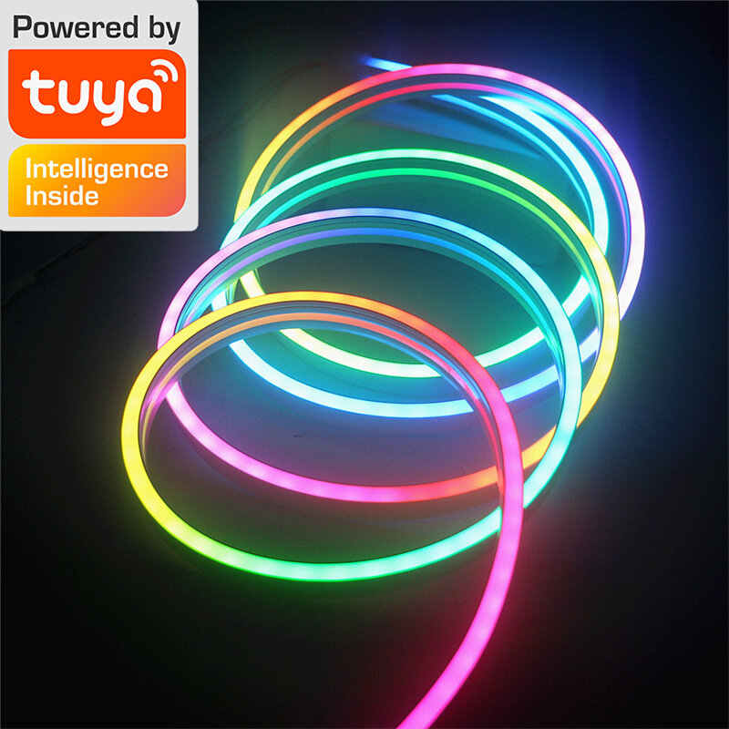 TUYA LED قطاع أضواء واي فاي 12 فولت RGBIC النيون حبل أضواء مع مزامنة الموسيقى النيون Led أضواء لغرفة الألعاب غرفة الديكور اليكسا 10 متر