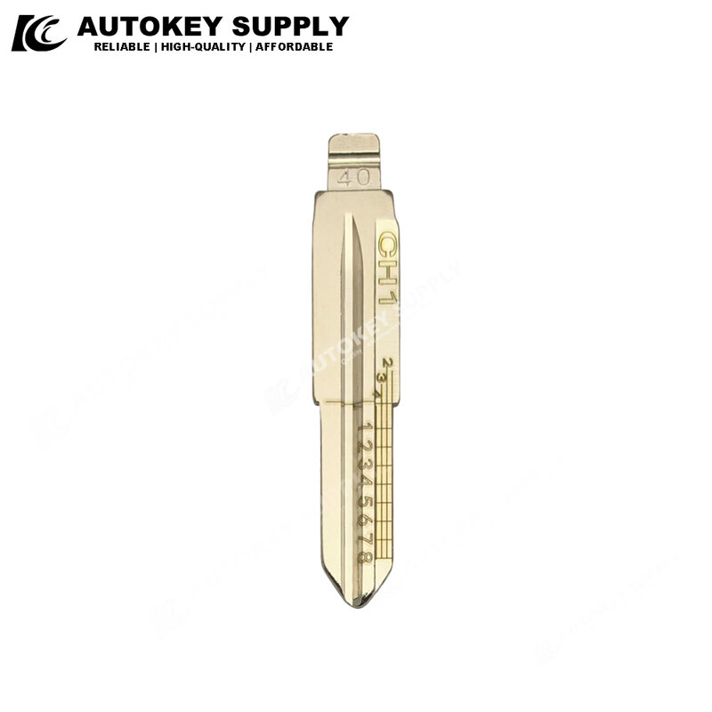 AutokeySupply للحصول على شفرة مفتاح (CH1) مع مقياس AKKZBL125