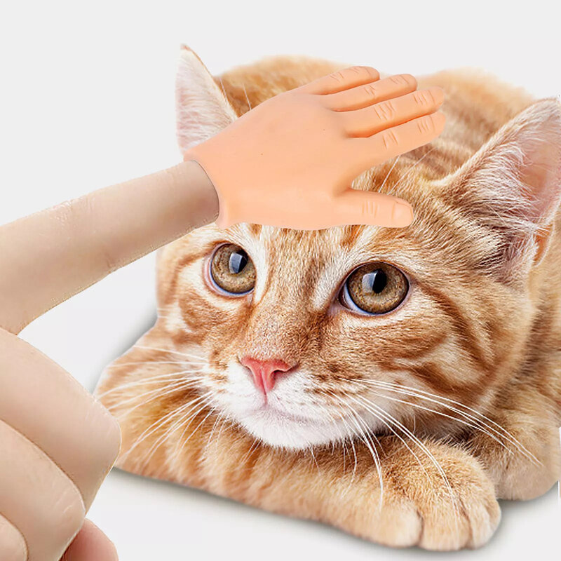 البلاستيك التفاعلية مضحك لفتة اللعب ، صغيرة متعددة نمط إغاظة القط ، إصبع قفازات اليد وهمية الإنسان ، مستلزمات الحيوانات الأليفة