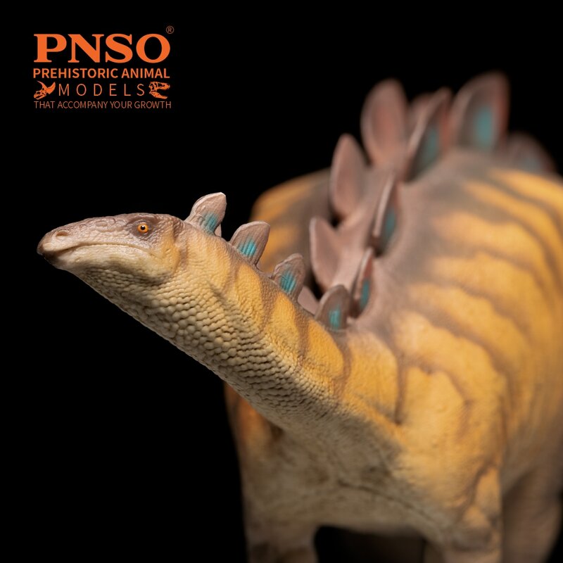 نماذج ديناصور ما قبل التاريخ PNSO: 82 Xilin wueryusaurus