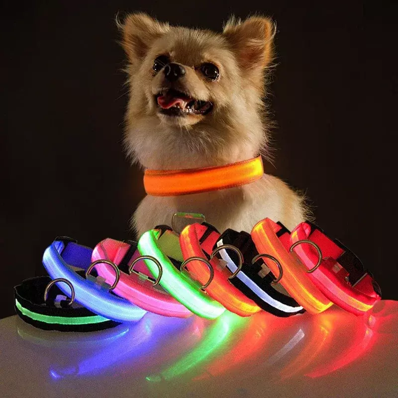 USB شحن LED طوق بكلاب الكلب سلامة ليلة ضوء قلادة وامضة الياقات الفلورسنت مستلزمات الحيوانات الأليفة