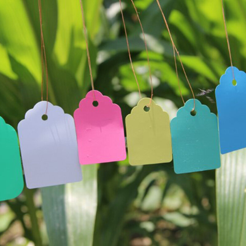 100pcs Waterproof Strip Line Plant Labels Plants Hang Tag Hanging Tags Flower Pot Marker Signs Garden Decoration Gardening Tool
