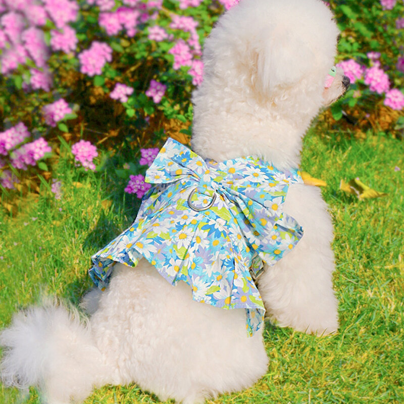 فستان الكلب والمقود مجموعة لطيف Bowknot تيدي بيشون القط تسخير سترة الربيع والصيف الكلب الملابس في الهواء الطلق الحيوانات الأليفة الملحقات