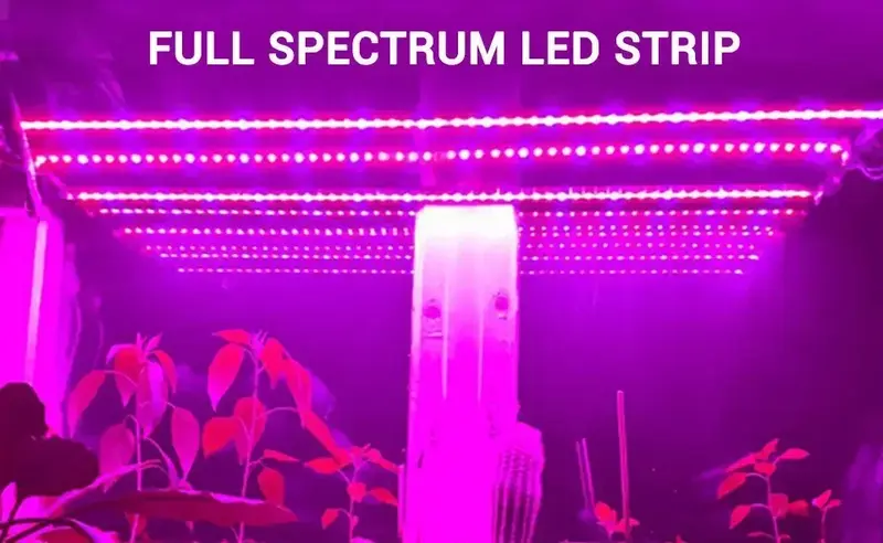 الطيف الكامل LED تنمو ضوء ، Phytolamp 5 فولت ، USB ضوء النبات قطاع ، 1 متر ، 2 متر ، 3m ، مصباح فيتو للنباتات ، زهرة الدفيئة ، خيمة ، المائية
