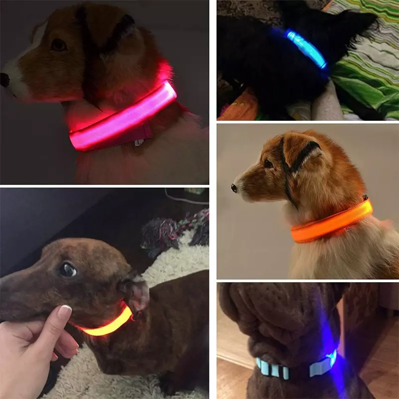 طوق كلب متوهج LED قابل لإعادة الشحن ، مضيء ، قابل للتعديل ، كبير ، ضوء ليلي ، سلامة الحيوانات الأليفة ، الكلاب الصغيرة ، القطط