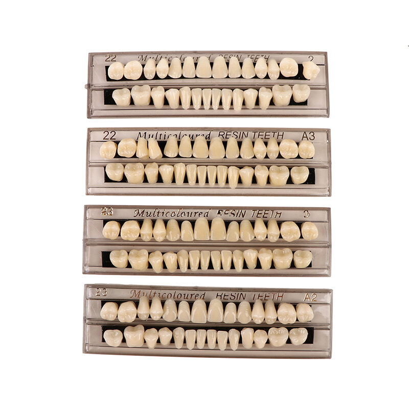 28 الأسنان الراتنج أسنان مقارنة الأسنان مرآة طب الأسنان تبييض لوحة الأسنان البحوث على نموذج تعليم الأسنان