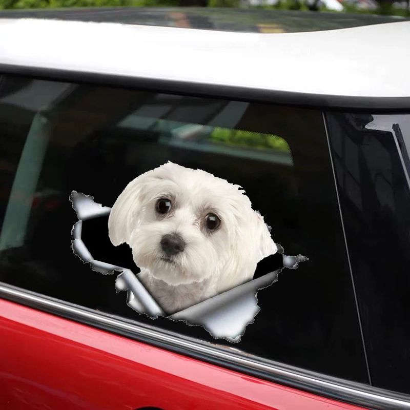ثلاثية الأبعاد ذاتية اللصق ملصق لاصق لطيف الكلب المالطية سيارة ملصق مقاوم للماء السيارات الديكورات على الوفير النافذة الخلفية المحمول